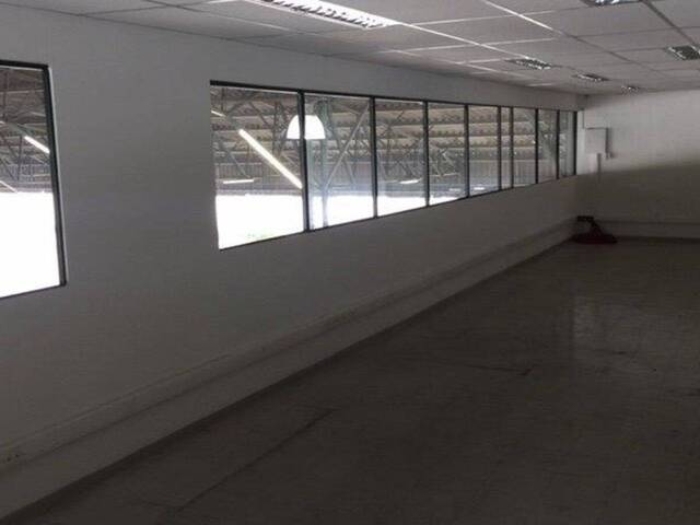 Galpão para Locação em São Paulo - 4