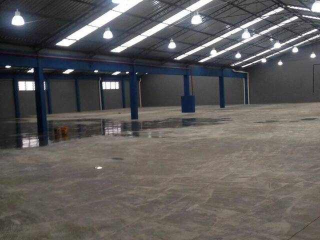 Galpão para Locação em São Paulo - 4