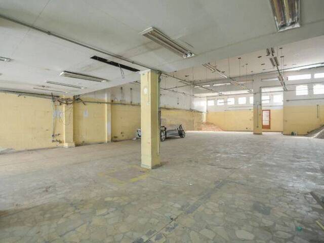 Galpão para Locação em São Paulo - 4