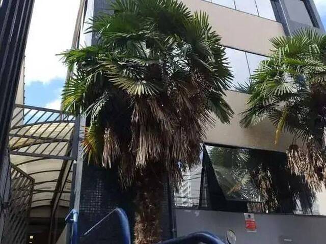 Venda em Vila Mariana - São Paulo